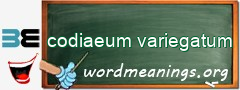 WordMeaning blackboard for codiaeum variegatum